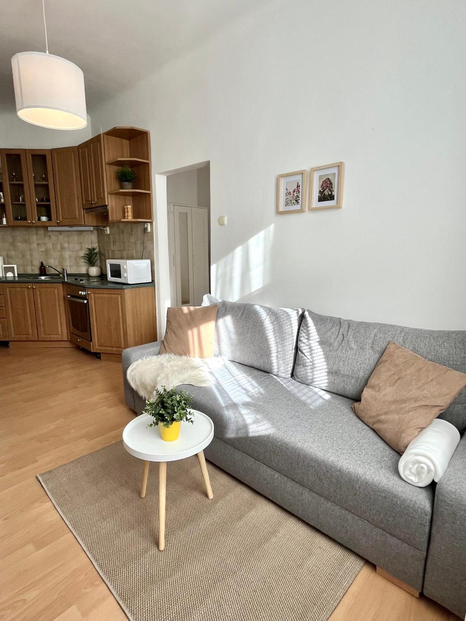 Apartment Caroline - Old Town, Ac Bratislava Dış mekan fotoğraf
